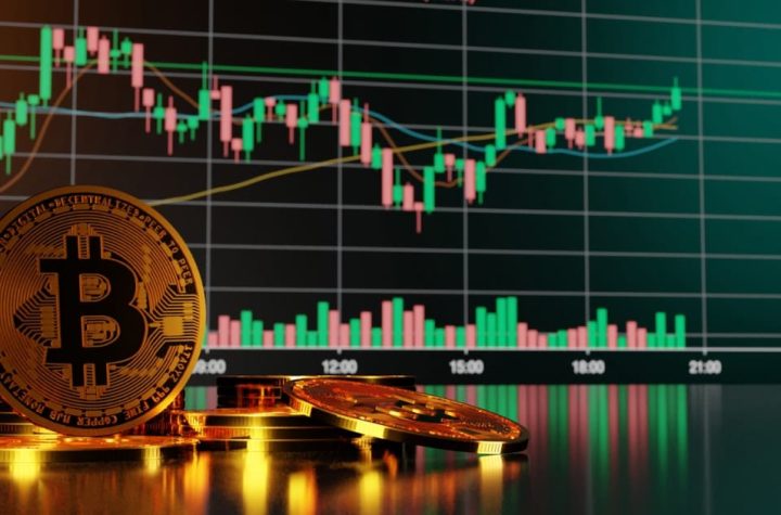 The Ultimate Guide to Choosing the Best Pocket Option Broker